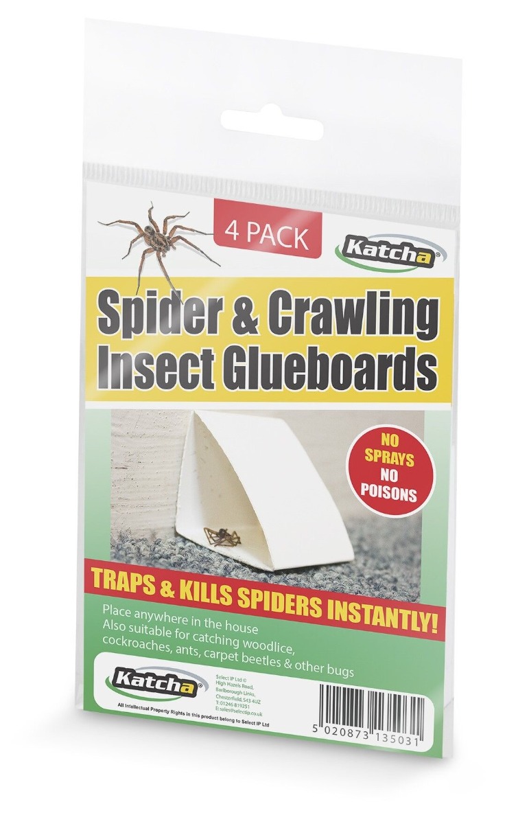 Klebefalle Spinnen & Insekten