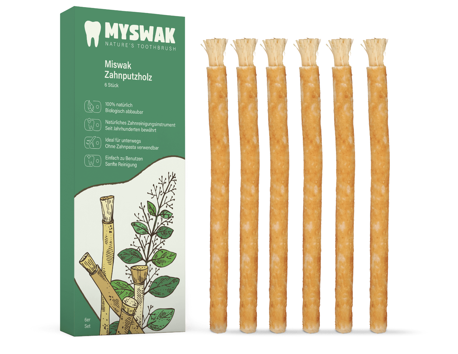 Miswak Natürliches Zahnputzholz 6 Stück
