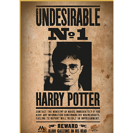 Harry Potter Puzzle 50-teilig - Wanted No1