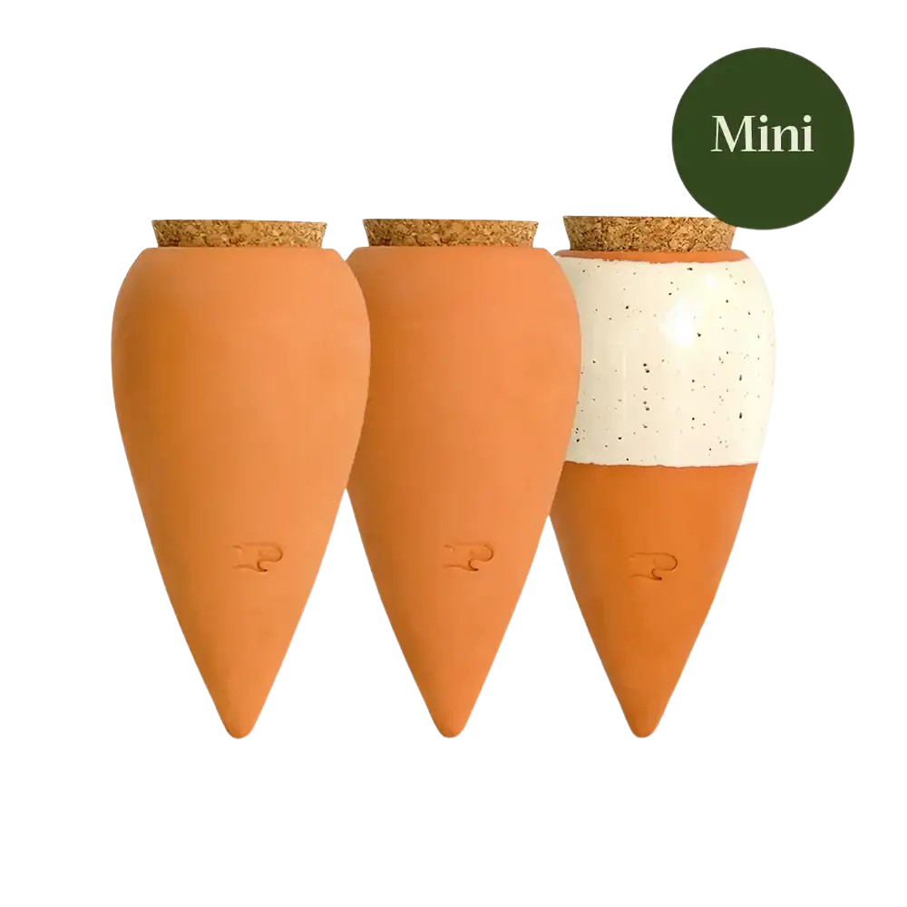 Bewässerungskegel Mini Ollas Klassik (3er Set)