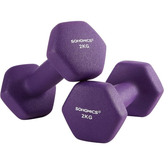 Hanteln 2x2kg Violett Gusseisen