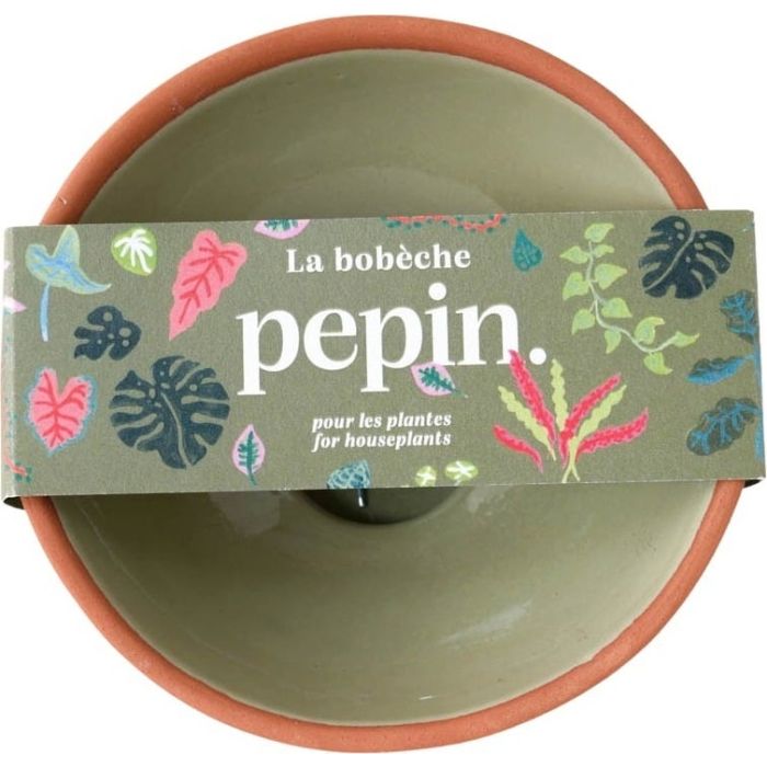 Keimschale Hydrokulturschale Salbeigrün