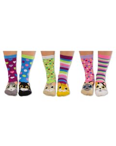 Einzelne Socken im 6er Pack, CATWALK Bunte Katzen, Gr. 37-42, mit Geschenkbox