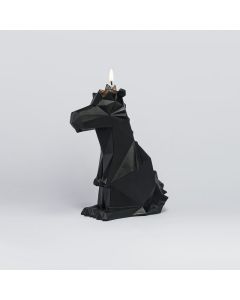 PyroPet Dreki Schwarz