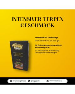 Terpy Picks Zahnstocher mit Geschmack Tangie