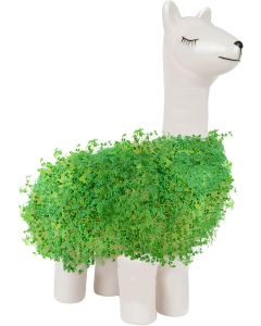 Lama-Blumentopf Mit Samen Zum Pflanzen