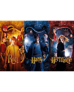 Harry Potter Puzzle 50-teilig - Harry Potter und die Kammer des Schreckens