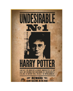 Harry Potter Puzzle 50-teilig - Wanted No1