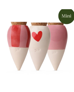 Bewässerungskegel Mini Ollas Rosa Herzen (3er Set)
