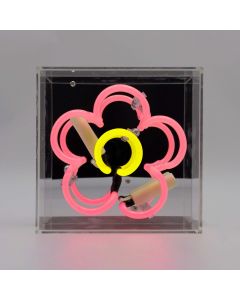 Mini Acryl-Box Neon - Margritli rosa
