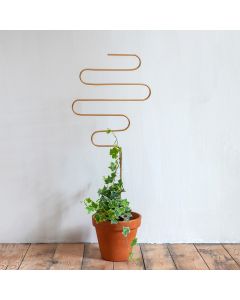 Rankhilfe Squiggle Gold