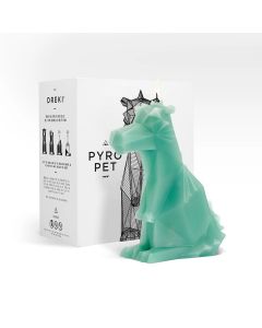 PyroPet Dreki Sage Green