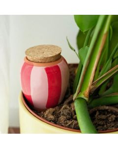 Bewässerungskegel Olla Rot-Rosa Streifen