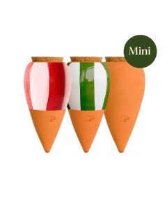 Bewässerungskegel Mini Ollas Streifen (3er Set)