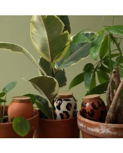 Bewässerungskegel Mini Ollas Die Leoparden 3er Set