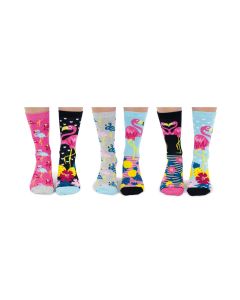 Einzelne Socken im 6er Pack, GO FLAMINGO, Gr. 37-42, mit Geschenkbox