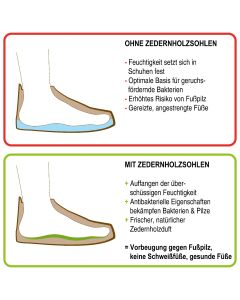 Zedernholzsohlen Damen Einlegesohlen gegen Schweissfüsse 41 EU