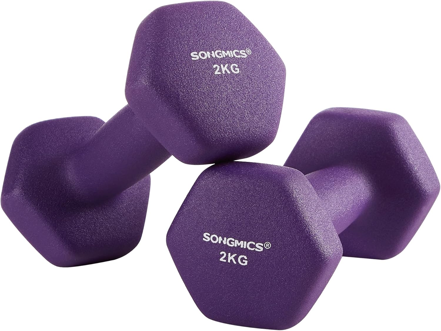 Hanteln 2x2kg Violett Gusseisen