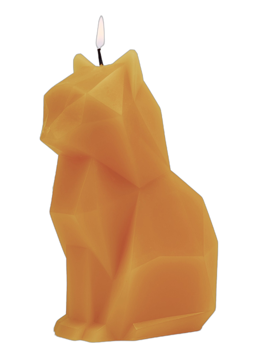 PyroPet Kisa Mustard