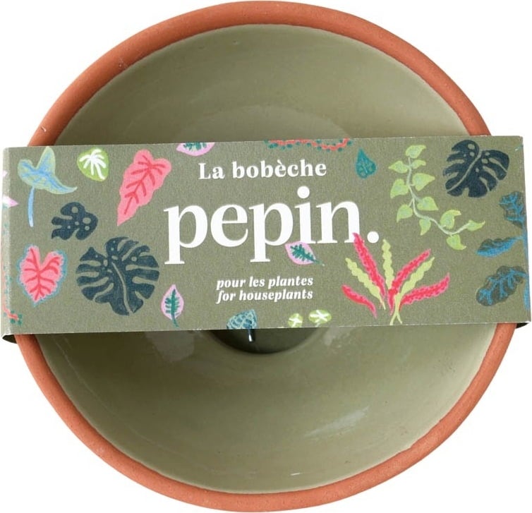 Keimschale Hydrokulturschale Salbeigrün