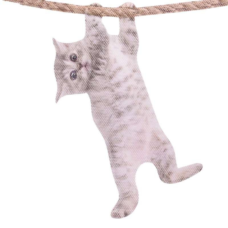 Ride With Hanging Cat - Fenstersticker Katze