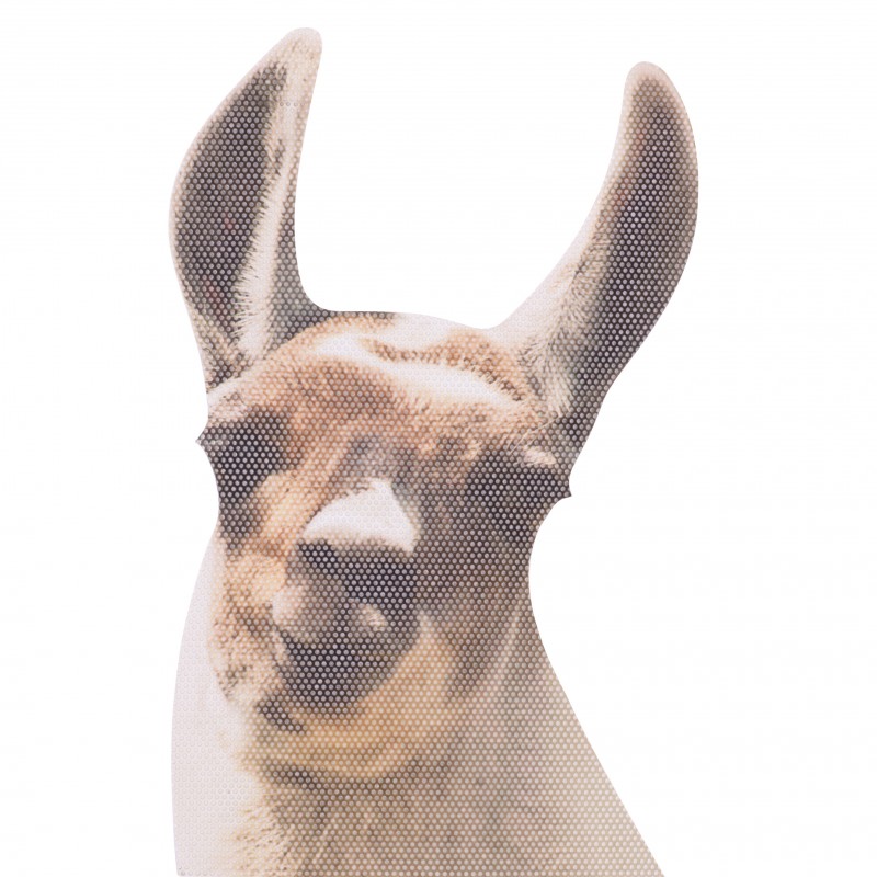 Ride With Llama - Fenstersticker Lama