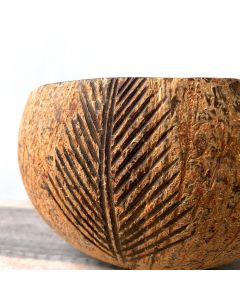 Palm Bowl Kokosnuss